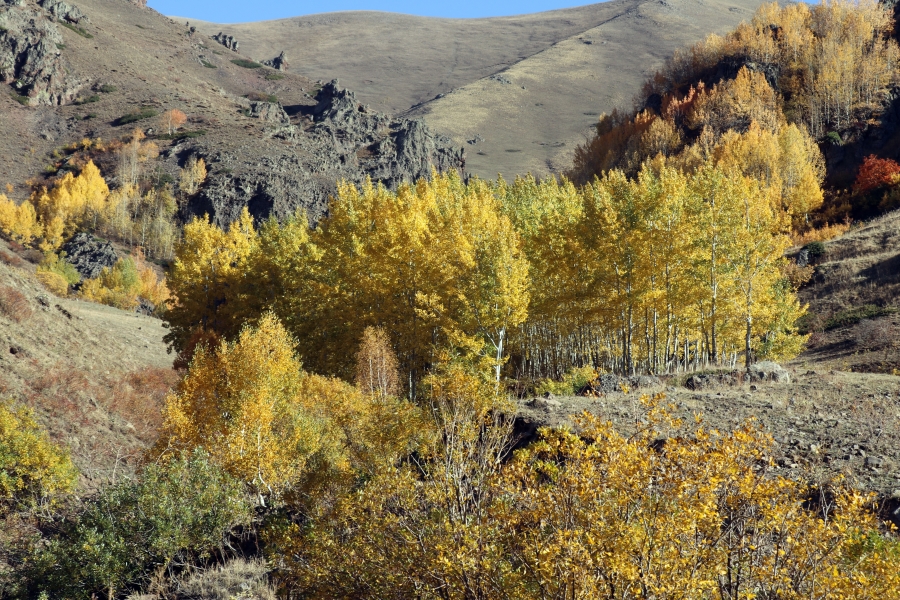 Eleşkirt Güneykaya Dağlarındaki vadiler sonbahar renklerine büründü