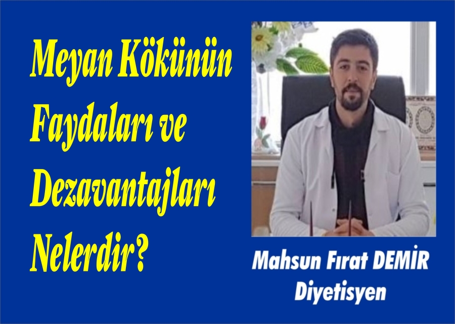Meyan Kökünün Faydaları ve Dezavantajları Nelerdir?