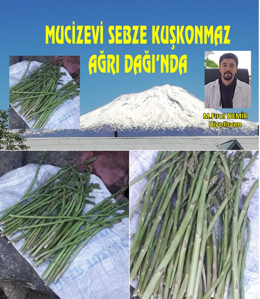 MUCİZEVİ SEBZE KUŞKONMAZ AĞRI DAĞI’NDA - Diyetisyen M.Fırat DEMİR
