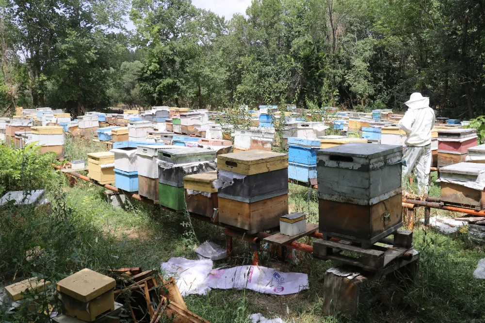 Ağrılı arıcılar tescilli 