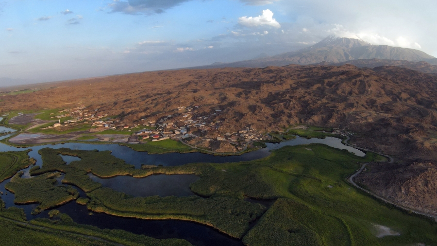 Yaban hayvanları yaz sıcaklarını geçirmek için Ağrı Dağı