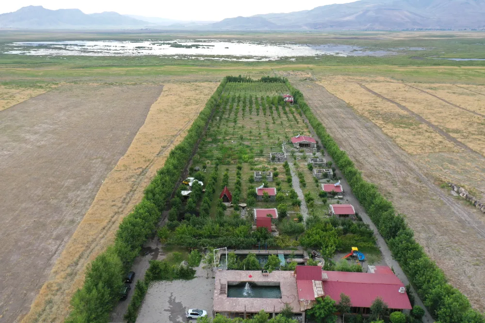 Abdulkadir Ardin, Doğubayazıt Ağrı Dağı eteklerindeki bahçesinde kayısı hasadına başladı