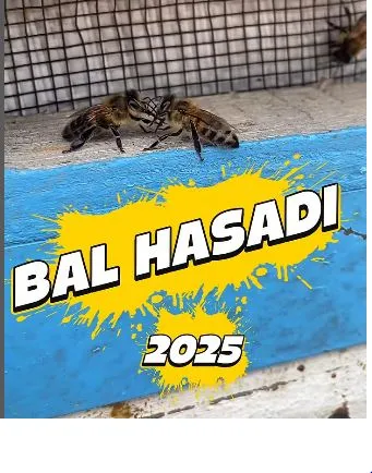  Taşlıçay ilçesi İkiyamaç Köyü
