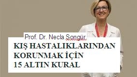 Prof. Dr. Necla Songür, kışın en sık görülen hastalıklarla ilgili alınması gereken önlemler hakkında bilgi verdi